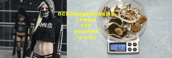 мдпв Семикаракорск