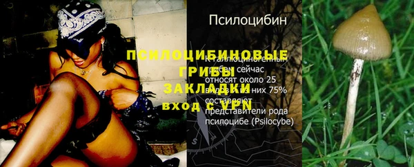 мдпв Семикаракорск