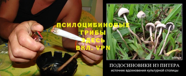прущая мука Семилуки