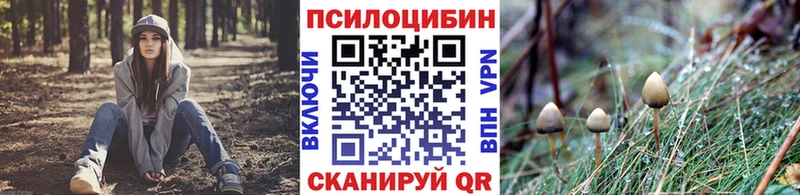 Псилоцибиновые грибы Psilocybine cubensis  Купить где  Гусиноозёрск 